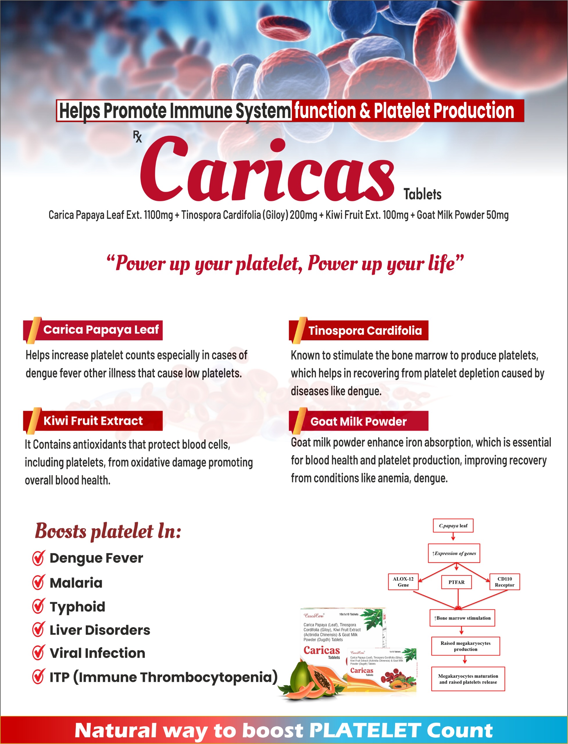 Caricas Tab
